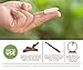 Femallay Creamy Coconut Vitamin E Vaginal Suppositories for Personal Moisturizing & Wellness with Organic Coconut Oil + Vitamin E + Other Botanical Ingredients, Box of 14 + Vaginal Applicator