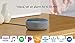 Echo Dot (3rd Gen) - Smart speaker with Alexa - Heather Gray