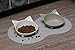 Automatic Dog Treat Dispenser