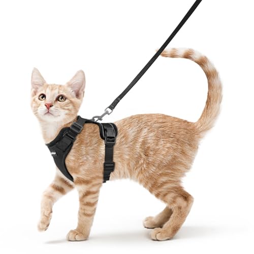 rabbitgoo Small Pet Harness and Leash