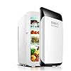 YANJ Car Refrigerator-18L Mini Fridge 12v 220v,Cooler and Warmer LOLDF1