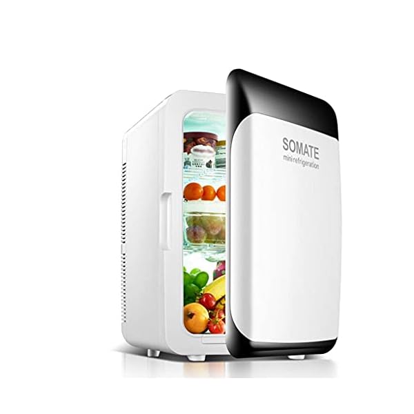 YANJ Car Refrigerator-18L Mini Fridge 12v 220v,Cooler and Warmer LOLDF1