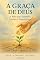 Livro A Graça de Deus: A Mão que Sustenta, Ensina e Transforma (O Caminho)