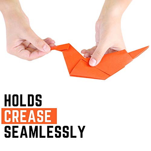 Origami Craze Paper 500 Sheets, Premium Quality for Arts and Crafts, 6