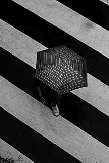 Livro Um novo caminho outra vez: Continuar sempre... (Poesias do Século XXI)