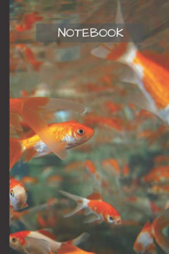 Goldfish Notebook: Goldfish notebook blank pages - Journal to write in - 120 pages - 6"x9"
