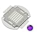 CHANZON High Power Led Chip 50W Purple Ultraviolet (UV 405nm / 1500mA / DC 30V - 34V / 50 Watt) SMD COB Light Emitter Components Diode 50 W Ultra Violet Bulb Lamp Beads DIY Lighting