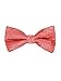 Men's Paisley Pre-Tied Bow Tie - Coral