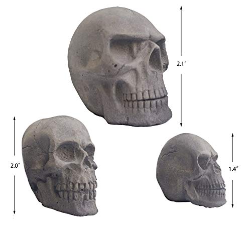 Amazeng Skull Charcoal briquettes Handmade, for Indoor or Outdoor, Campfire, BBQ Charcoal, Gothic Charcoal(Qty 6, Black)