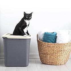 Amazon Basics Nonstick Top-Entry Cat Litter Box