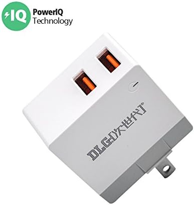 Travel USB Wall Charger, DLG 12W 2.4A Dual USB Wall Plug with Smart IC Technology Foldable Power Adapter for iPhone X 8/7/6s/6/Plus and More Android Phones, Tablet, Power Banks