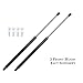 2 Pcs Front Hood Lift Supports Shock Struts For 1995 - 1999 Infiniti I30 Nissan Maxima primary