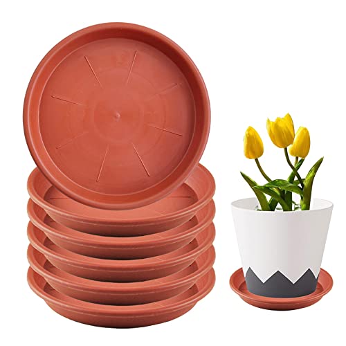 Ronbo Sunrise Plant Saucer 6 Pack Clay Color Thickened Durable Round