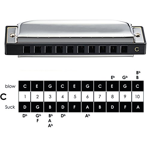 image for HIGO TOY 10 Hole 20 Tones Harmonica Key of C blues, folk and pop Best 
