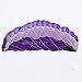 Besra Huge 102inch Dual Line Parachute Stunt Kite with Flying Tools 2.6m Power Parafoil Kites Outdoor Fun Sports for Beach & Park (102inch Purple)