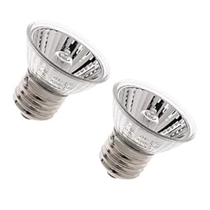2 Pz 75W Lampada di Basking del Calore Lampade Riscaldante Alogena UVA UVB per Rettilari Animali Domestici Marca: perfk 2 Pz 75W Lampada di Basking del Calore Lampade Riscaldante Alogena UVA UVB per Rettilari Animali Domestici