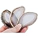 mookaitedecor Polished Agate Light Table Slices,Geode Agate Slab Cards Pack of 12