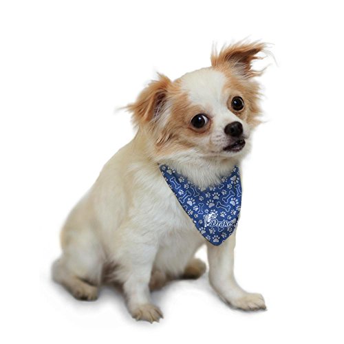 drake dog bandana