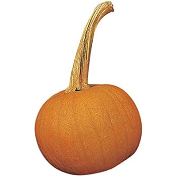 Amazon.com : Burpee Early Sweet Sugar Pie Pumpkin Seeds 35 seeds