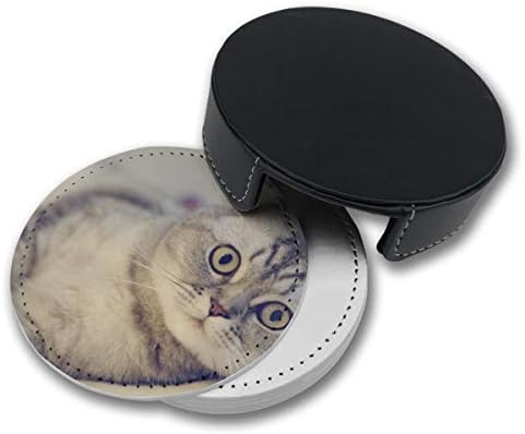 NGFF Scottish Fold Cat Up Gray Cat Pets Round Drinks Coasters with Holder Set of 6 PU Leather Cup Pads