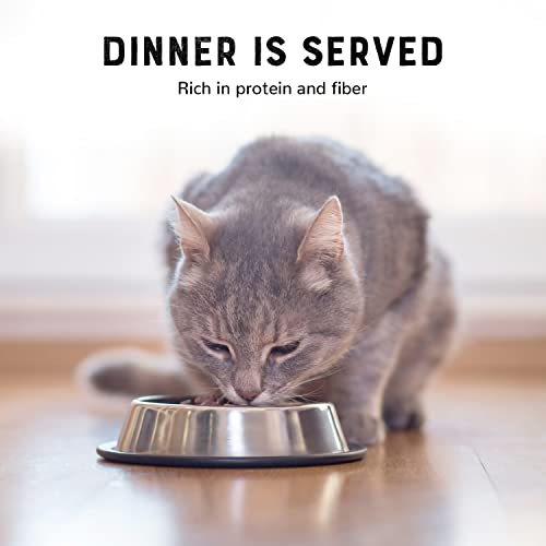 Tuna and Albacore Canned Wet Cat Food 5.5 Oz GrainFree Dinner for Cats Complete Meal