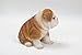 Hi-Line Sitting Bulldog Puppy Figurine,Brown/White, 6.5