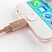 Luxtr Tough Armor Aluminum and Nylon design iPhone Charger for all Devices 6.5 feet - Rose Gold
