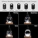 Large Storm Glass Weather Predictor - Weather Forecast - Weather Drop Barometer - Desk Decorations, Best Giving for Unique Christmas Gift