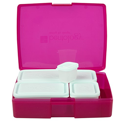 Bentology Leak-proof Bento Lunch Box with 5 Removable Containers, Translucent Raspberry