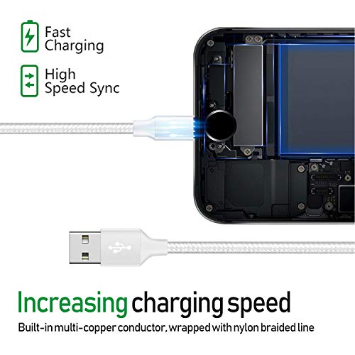 iPhone Charger, MFi Certified Lightning Cables 5Pack 2x3FT 2xFT 10FT to USB Syncing Data and Nylon Braided Cord Charger for iPhone Xs/Max/XR/X/8/8Plus/7/7Plus/6S/6S Plus/SE/iPad and More - Sliver