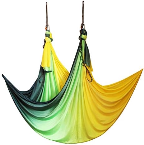 Wellsem Aerial Yoga Hammock Aerial Pilates Silk Yoga Swing Set Include Carabiners Daisy Chain, Pose Guide 5.5 Yards Set