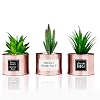 Office Decor for Women Desk- Rose Gold Decor Desk Plant For Bookshelf Decor, Boho Bedroom Decor For Women College Dorm…