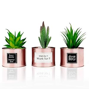 Office Decor for Women Desk- Rose Gold Decor Desk Plant For Bookshelf Decor, Boho Bedroom Decor For Women College Dorm…