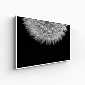 Canvas Wall Art for Living Room, Bedroom Monochrome Plants Framed Canvas Prints for Home Decoration Ready to Hang - 16x24 inches