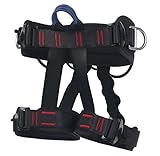 Climbing Harness - Ingenuity Professional Mountaineering Rock Climbing Harness,Rappelling Safety Harness - Work Safety Belt