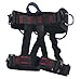 Climbing Harness - Ingenuity Professional Mountaineering Rock Climbing Harness,Rappelling Safety Harness - Work Safety Belt