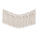 Bioexcel Macrame Wall Hanging - Decorative Wall Art Boho Woven Wall Hanging for Modern Appartments Room Decor - 15''W x 35''L