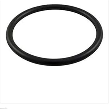 Amazon.com : Hayward SPX4000Z1 Diffuser Northstar O-Ring