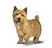 Purina Beneful Gravy Wet Dog Food, Prepared Meals Roasted Turkey Medley - (8) 10 oz. Tubs