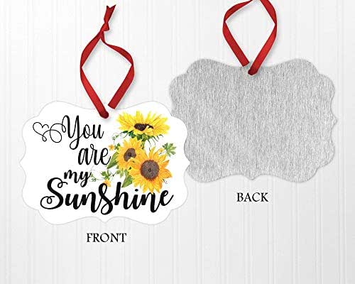 Download Amazon.com: You Are My Sunshine Ornament, Inspirational ...