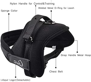 lifepul easy harness