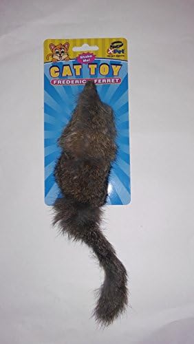ferret cat toy