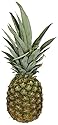 Organic Pineapple, One Medium