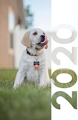 inexpensive gifts for dog lovers