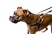 2 Hounds Freedom No-Pull Dog Harness Training Package: Velvet Padding, Multi-Function & USA Made! (Leash Included), Medium (1” Wide), Navy