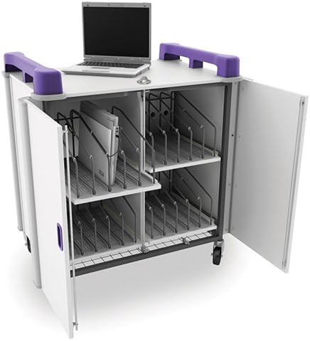 (Usa) Lapcabby20v In Purple