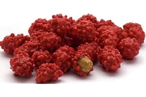 SWEETGLOB Red French Burnt Peanut Old Fashioned Hard Candy Coated Roasted Peanuts (1 Pound)