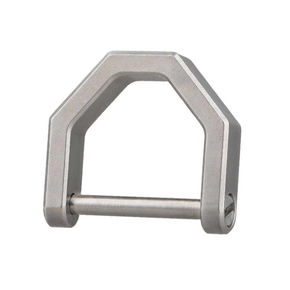 DONGKER Titanium D Rings,TC4 Titanium D-Shaped Car Key Ring Car Fob Key Chain Holder for Home Car Keys