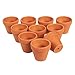 Juvale 10-Pack 2-Inch Mini Terracotta Pots with Drainage Holes for Succulents, Plants, Herbs, and Flowers, Small Clay Pot Planters for Indoor and Outdoor Gardening, Crafts