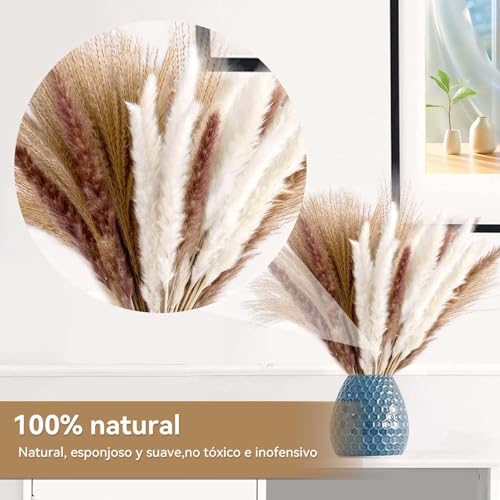 120PCS Decoración de Hierba de Pampas Secas Naturales,Colas de Conejo de Hierba Natural de la Pampa,Decoraciones de Hierba de Pampa Seca,Ramo de Hierba Carrizo para Sala de Estar,Cocina,Boda,Fiestas
